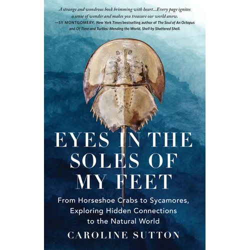 Eyes in the Soles of My Feet
