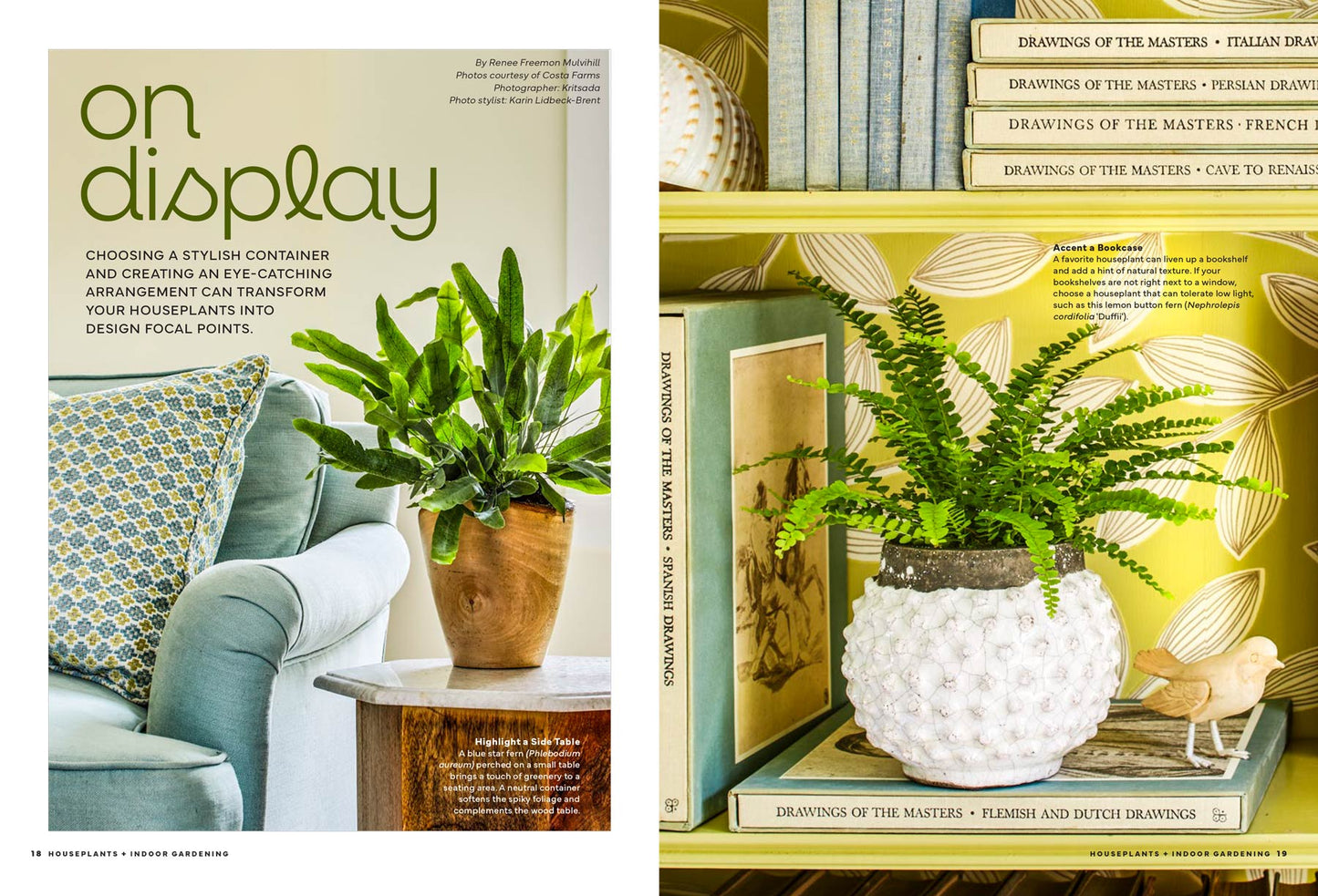 Houseplants & Indoor Gardening - Your Ultimate Guide To Happy, Healthy Plants: 60 Low-Maintenance Houseplants, Flowering Favorites, Unique Metallic Plants, Create A Vibrant, Lush Indoor Oasis & More!