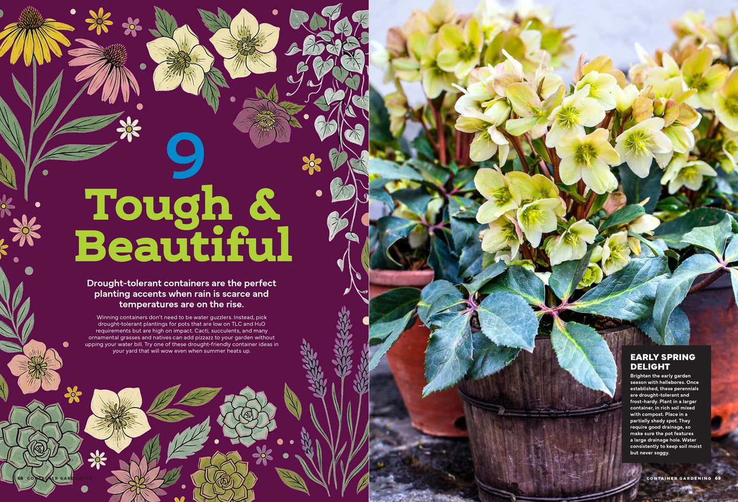 Container Gardening - 101 Easy Ideas For Big Impact: Window Boxes & Hanging Planters, Kid Friendly Projects, Inspiring Sensory Containers, Drought Tolerant Plantings, Pollinator Must Haves & More!