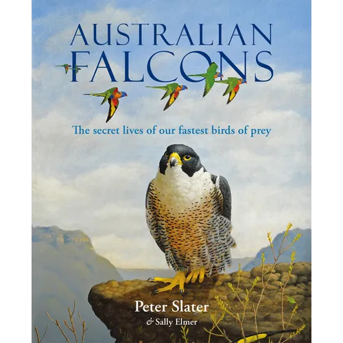 Australian Falcons