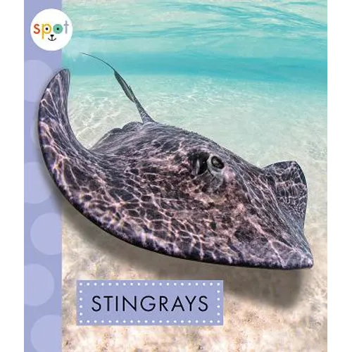 Stingrays