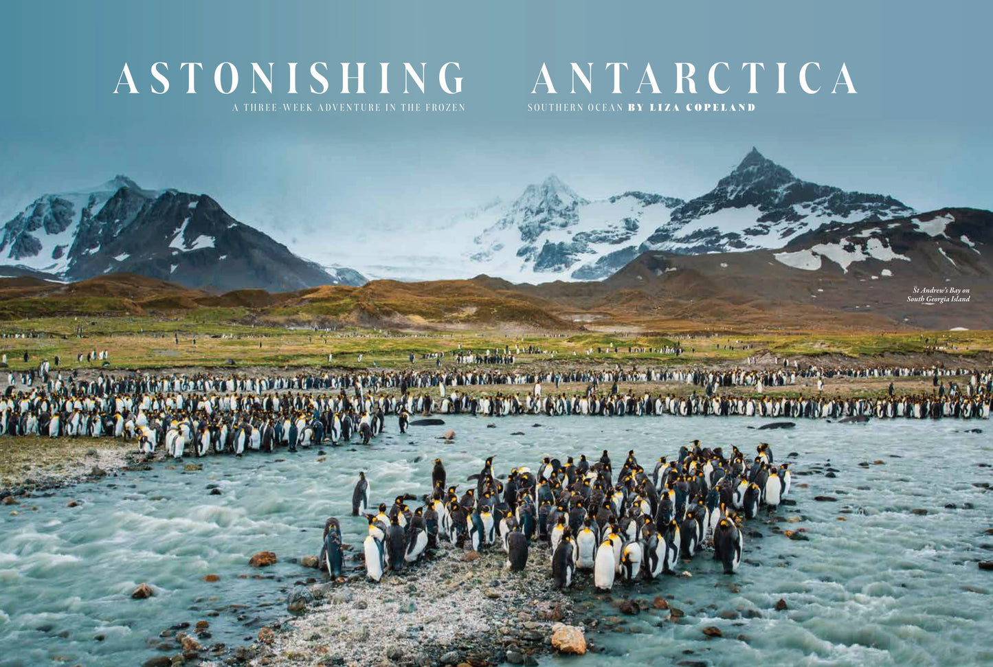 Pacific Yachting - January 2025: Cruising San Juan Island Marine State Parks, Marine Electrical Standards & Practices, Winter Boaters, Antarctica, Cockpit Confessions, Winter Fishing Tactics & More!