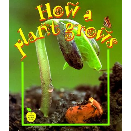 How a Plant Grows