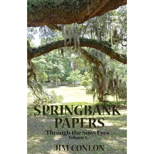 Springbank Papers: Through the Sun's Eyes