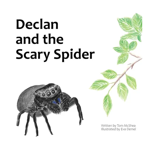 Declan and the Scary Spider