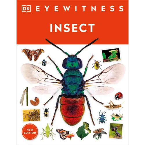 Eyewitness Insect