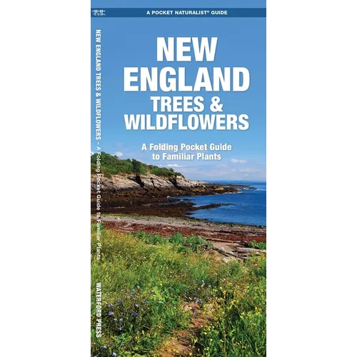 New England Trees & Wildflowers: A Folding Pocket Guide to Familiar Plants
