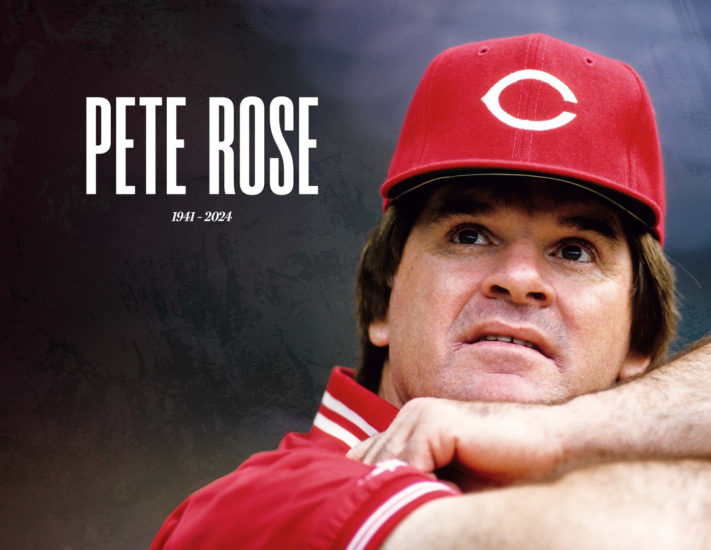 Pete Rose: A Tribute to a Baseball Legend Book