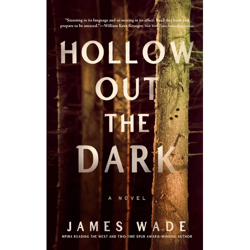 Hollow Out the Dark