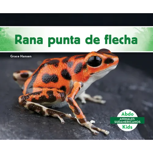 Rana Punta de Flecha (Poison Dart Frog)