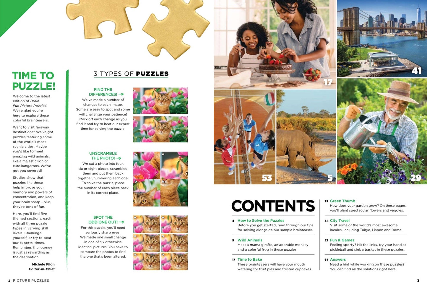 Brain Fun - Picture Puzzle: Spot the Difference! Can You Find All 289 Differences? Five Categories Cute Critters, Sweet Treats, Gorgeous Gardens, Amazing Places, Perfect Pastimes