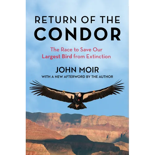 Return of the Condor: The Race to Save Our Largest Bird from Extinction