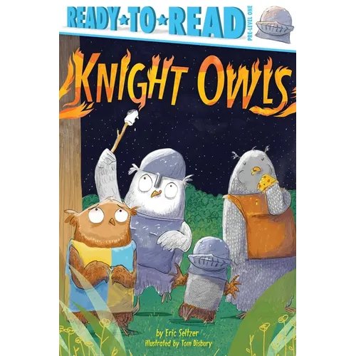 Knight Owls: Ready-To-Read Pre-Level 1