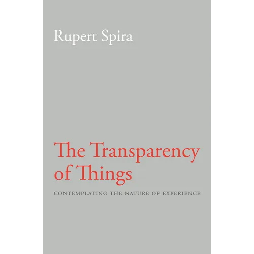 The Transparency of Things: Contemplating the Nature of Experience