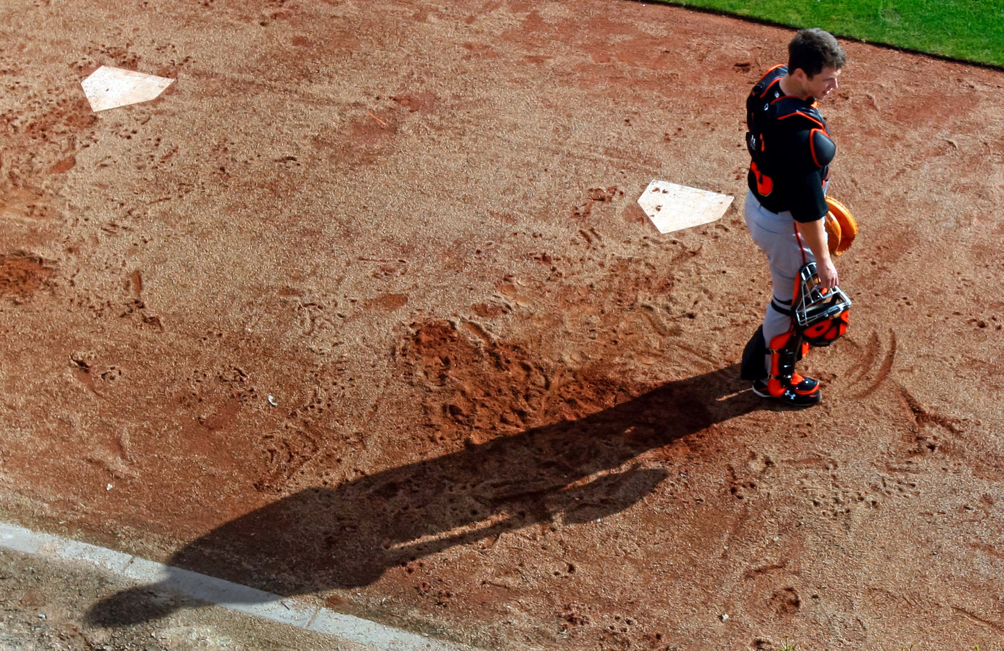 Buster: The Legendary Career of the San Francisco Giants’ Buster Posey Book