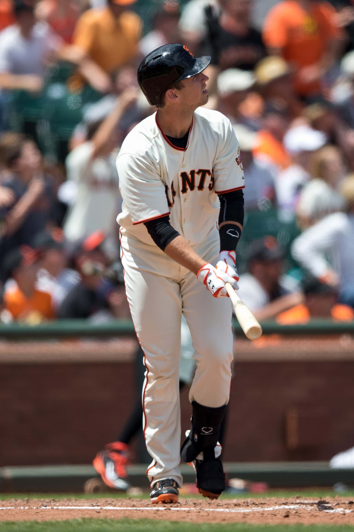 Buster: The Legendary Career of the San Francisco Giants’ Buster Posey Book