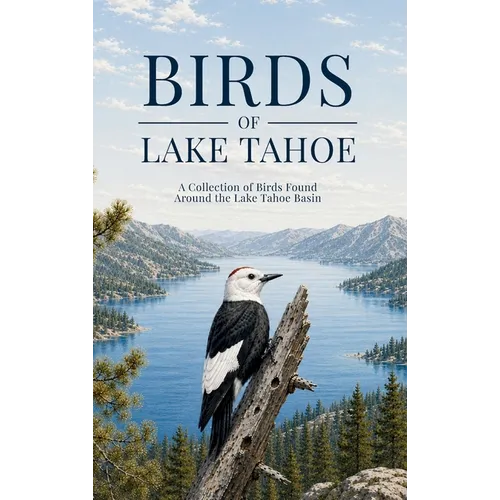 Birds of Lake Tahoe: A Collection of Birds Found Around the Lake Tahoe Basin
