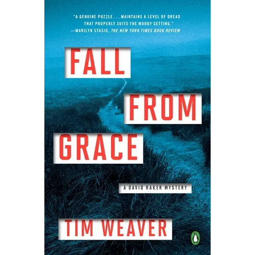 Fall from Grace: A David Raker Mystery