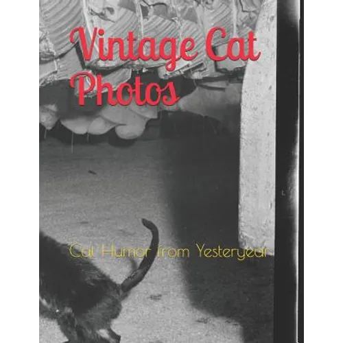 Vintage Cat Photos: Cat Humor from Yesteryear