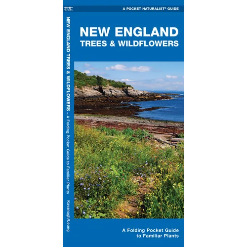 New England Trees & Wildflowers: A Folding Pocket Guide to Familiar Plants