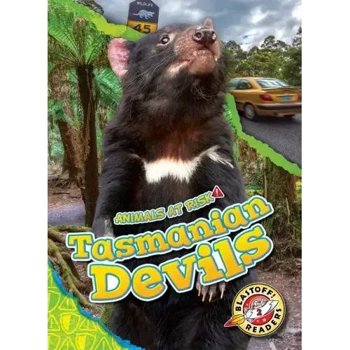 Tasmanian Devils