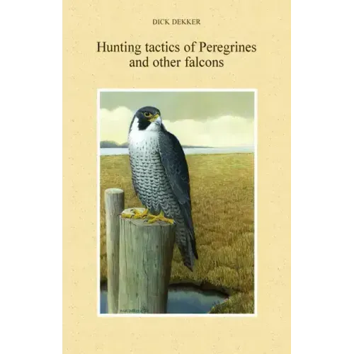 Hunting Tactics of Peregrines and other Falcons