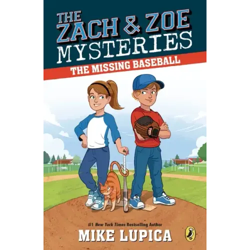The Missing Baseball