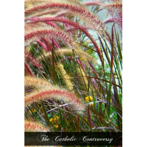 The Catholic Controversy