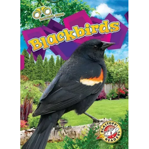 Blackbirds