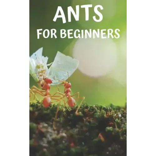 Ants for beginners: Guide to successfully keep ants in an ant farm for novices