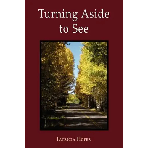 Turning Aside to See