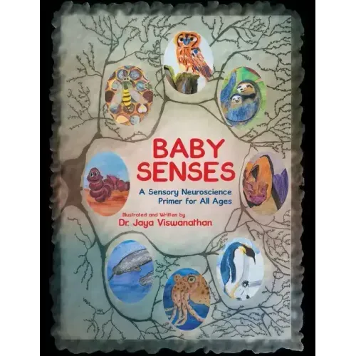 Baby Senses: A Sensory Neuroscience Primer for All Ages