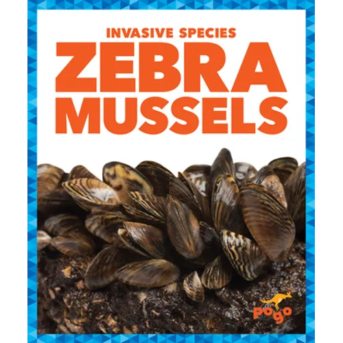 Zebra Mussels