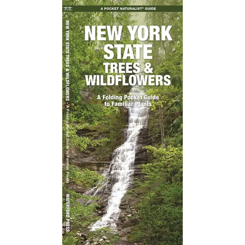 New York State Trees & Wildflowers: A Folding Pocket Guide to Familiar Plants