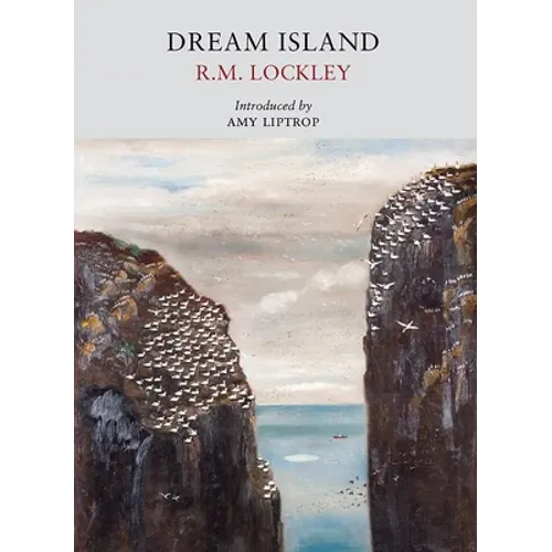Dream Island
