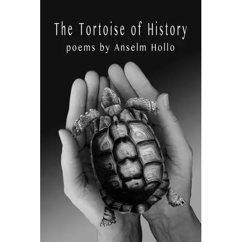 The Tortoise of History