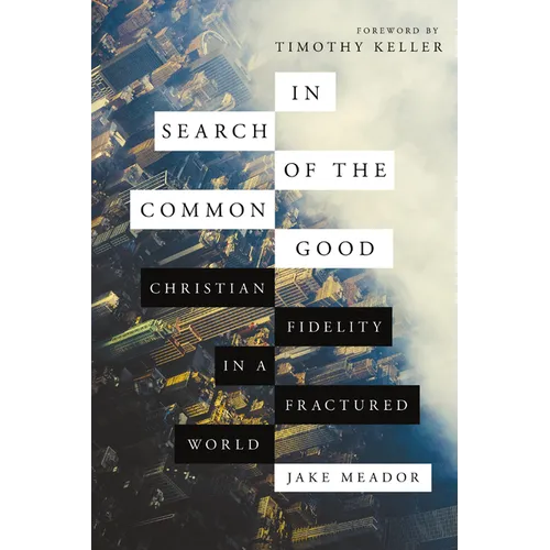 In Search of the Common Good: Christian Fidelity in a Fractured World