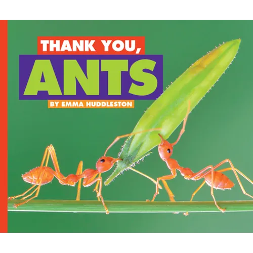 Thank You, Ants