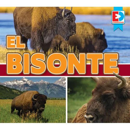 El Bisonte (Bison)