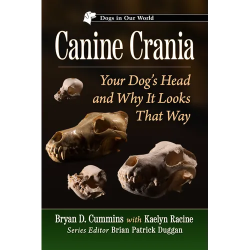 Canine Crania: Your Dog's Head and Why It Looks That Way