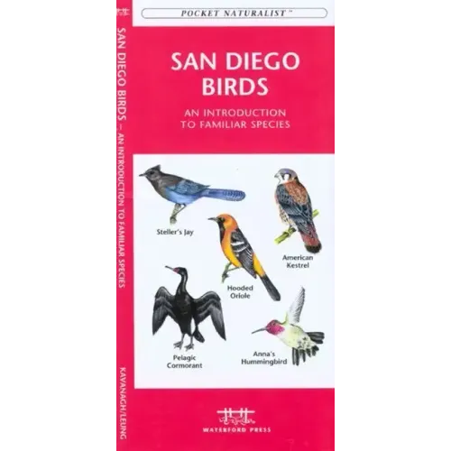 San Francisco Birds: An Introduction to Familiar Species
