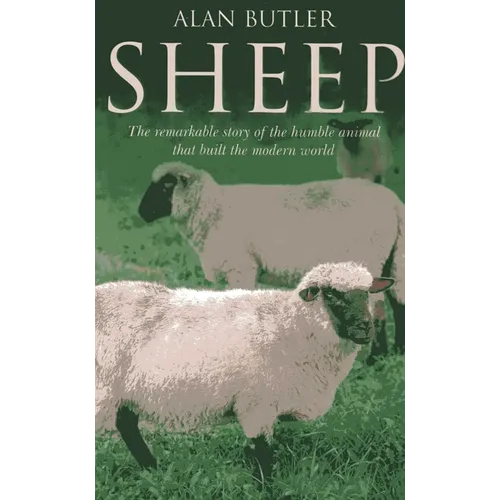 Sheep