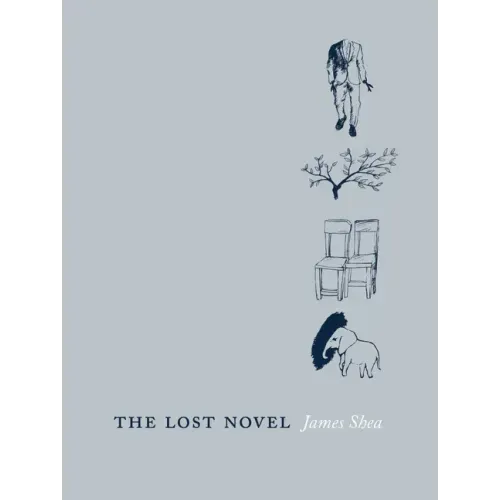 The Lost Novel