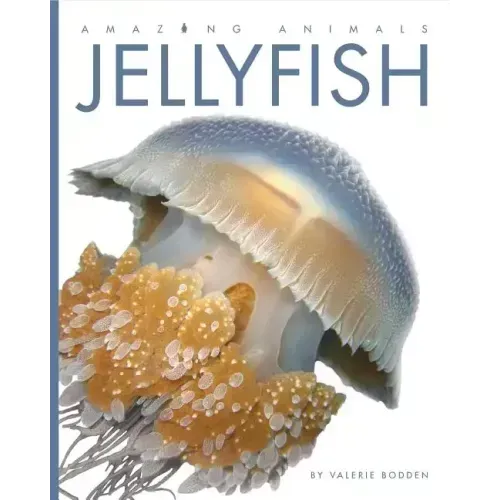 Jellyfish