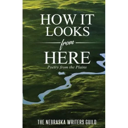 How It Looks from Here: Poetry from the Plains