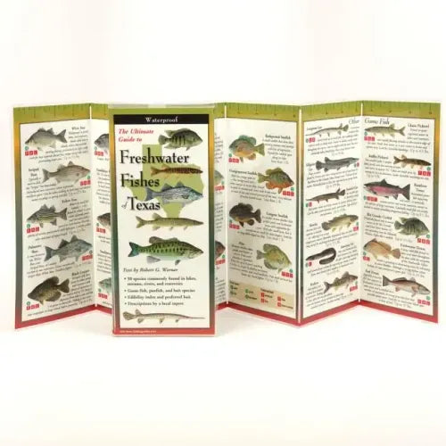 Freshwater Fishes of Texas
