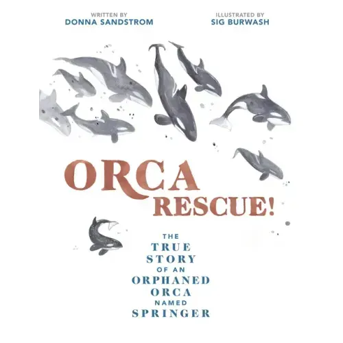 Orca Rescue!: The True Story of an Orphaned Orca Named Springer