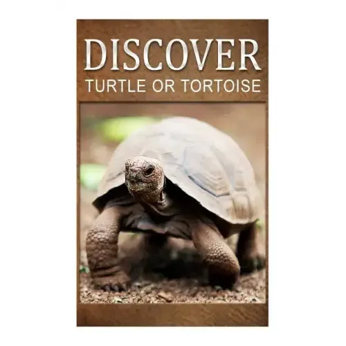 Turtle Or Tortoise - Discover: Early reader's wildlife photography book