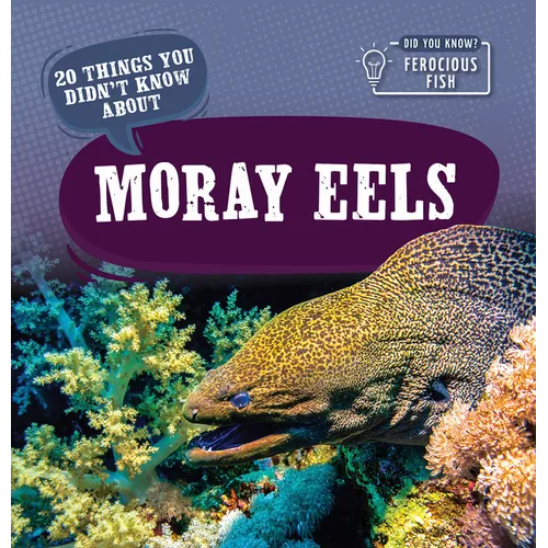 20 Things You Didn't Know about Moray Eels