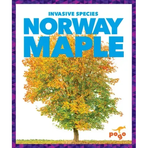Norway Maple